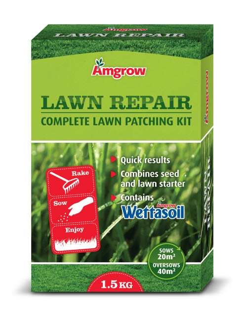 amgrow lawn repair