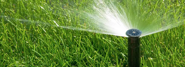 Turf-Solutions-A-Guide-To-Ensuring-Drought-Proof-Grass